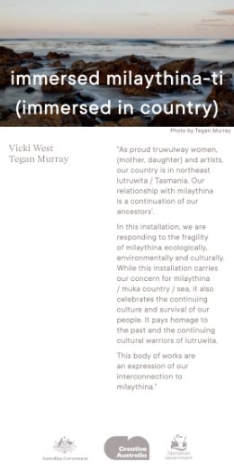A
long thin poster design a seascape scene - waves flowing over rocks with a moody sunrise sky -
immersed milaythina-ti (immersed in country) form part of the lengthy block of text.